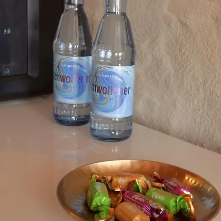 Susanna Neu Mit Netflix Traveller Awards 2025 بيت خشبي Bruchweiler