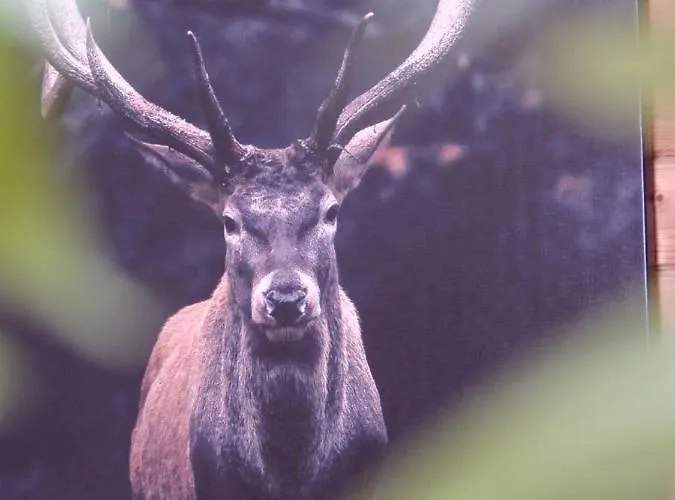 אכסניה Susanna Neu Mit Netflix Traveller Awards 2025