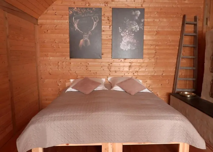 Susanna Neu Mit Netflix Traveller Awards 2025 Lodge Bruchweiler